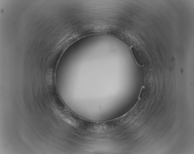 X0000067390744200604131931