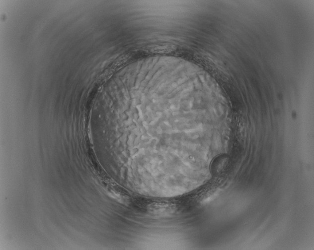 X0000067390745200604131931