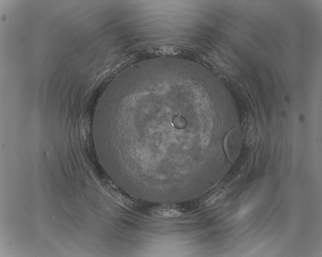 X0000067390747200604131931