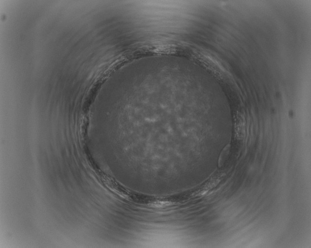 X0000067390748200604131931