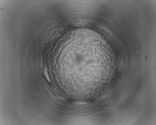 X0000067390749200604131931