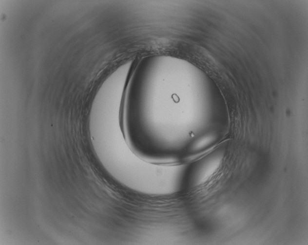 X0000067390750200604131931