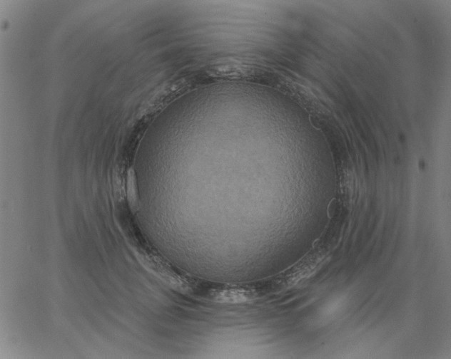 X0000067390751200604131931