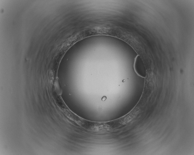 X0000067390752200604131931