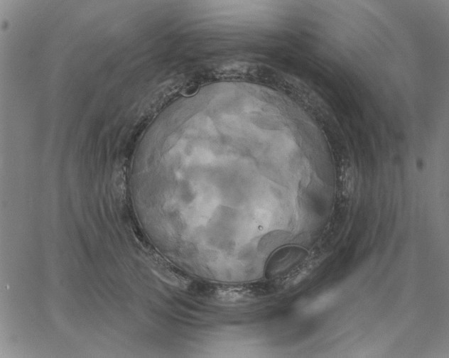 X0000067390753200604131931