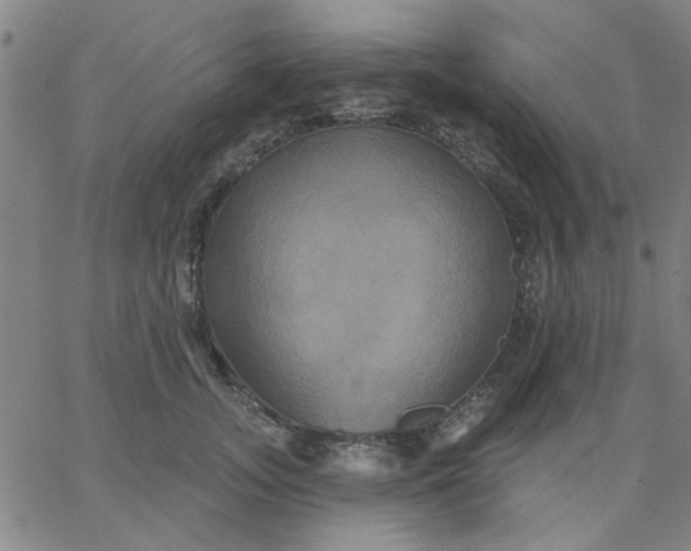 X0000067390755200604131931