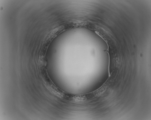 X0000067390756200604131931