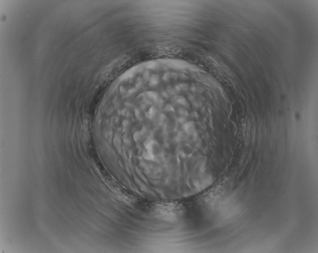 X0000067390757200604131931