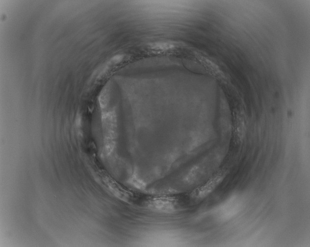 X0000067390758200604131931