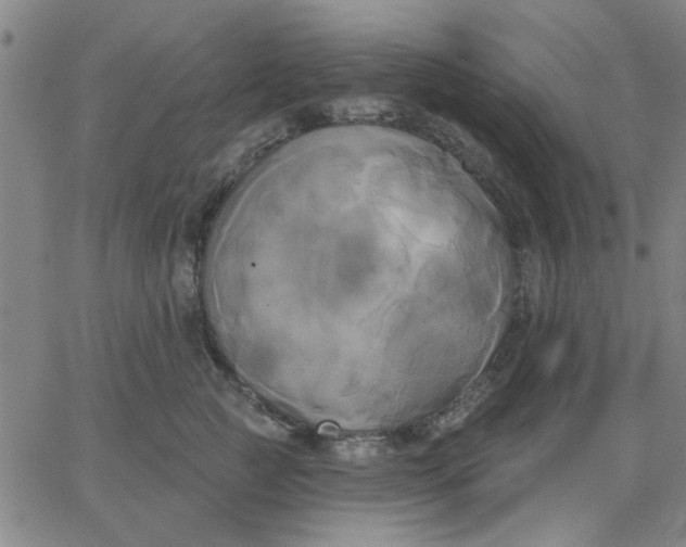 X0000067390761200604131931