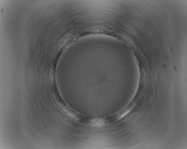 X0000067390762200604131931