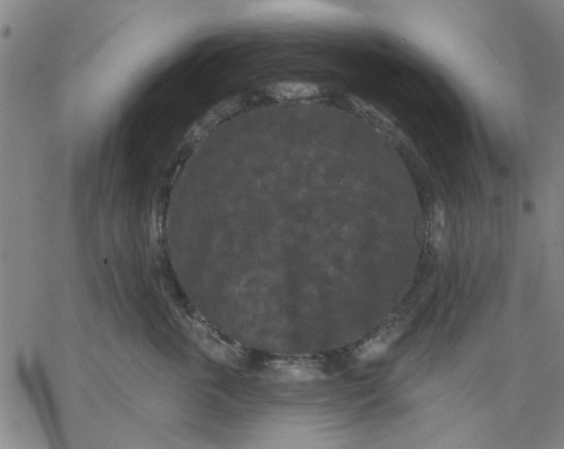 X0000067390763200604131931