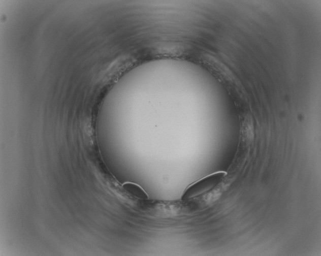 X0000067390764200604131931