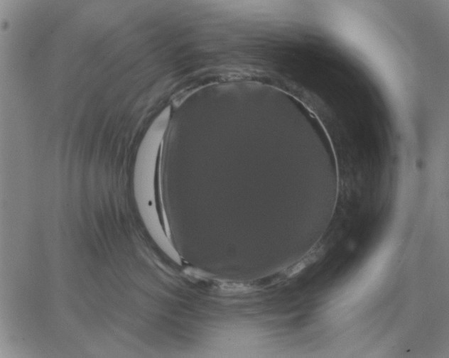 X0000067390766200604131931