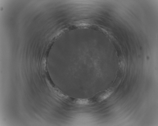 X0000067390767200604131931