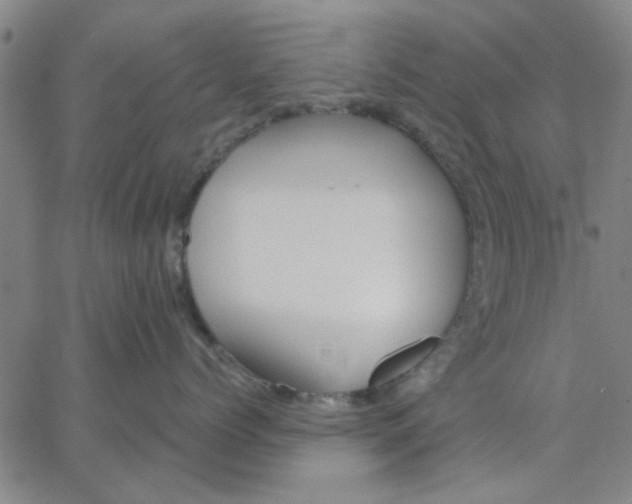 X0000067390768200604131931