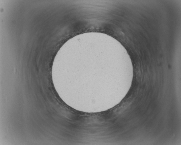 X0000067390769200604131931