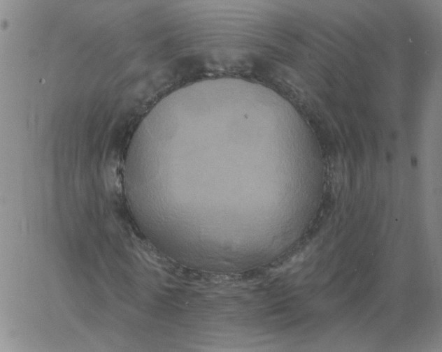 X0000067390770200604131931