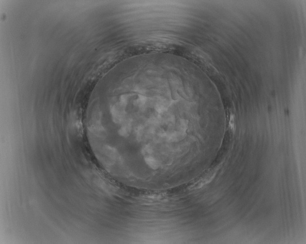 X0000067390771200604131931