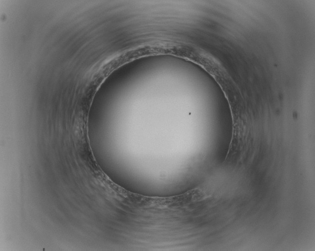 X0000067390773200604131931