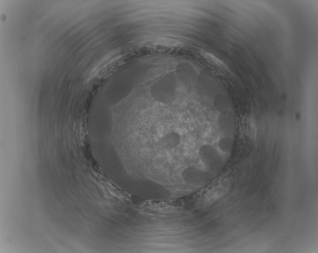 X0000067390774200604131931