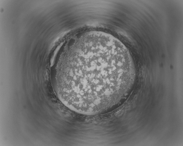 X0000067390776200604131931