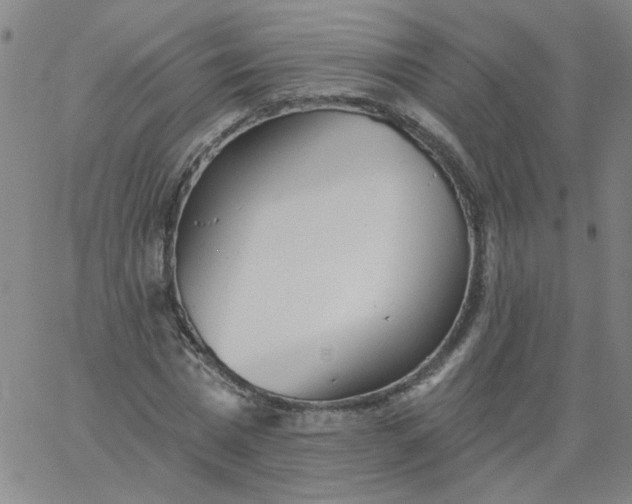 X0000067390777200604131931