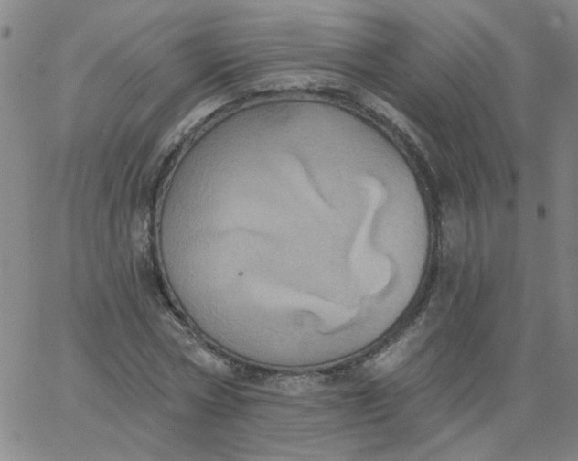 X0000067390778200604131931