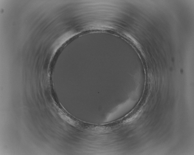 X0000067390779200604131931