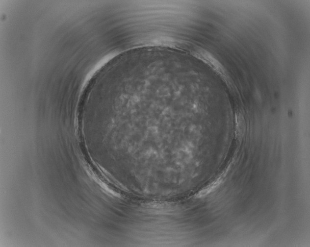 X0000067390780200604131930