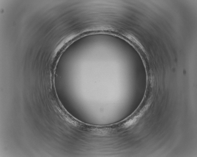 X0000067390781200604131930