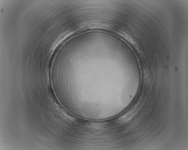 X0000067390782200604131930