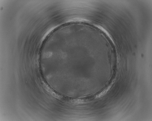 X0000067390783200604131930