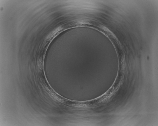 X0000067390785200604131930