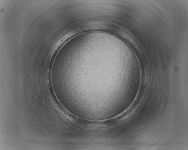 X0000067390786200604131930