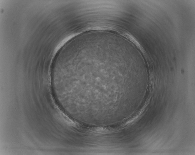 X0000067390787200604131930