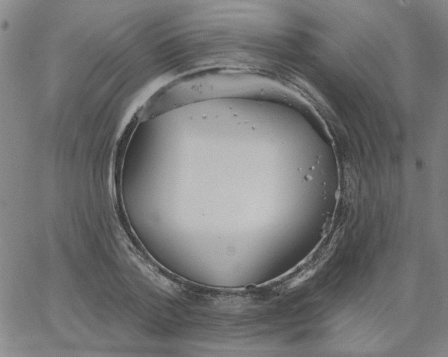 X0000067390788200604131930