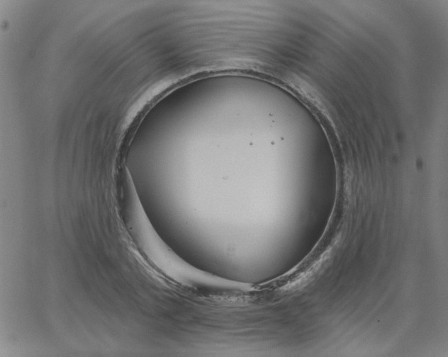 X0000067390789200604131930