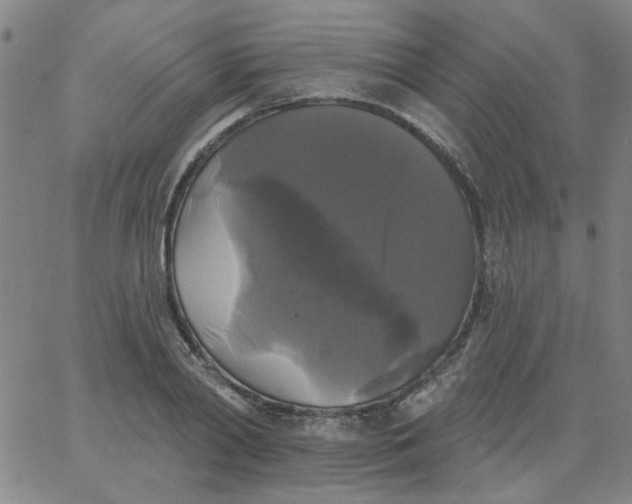 X0000067390790200604131930