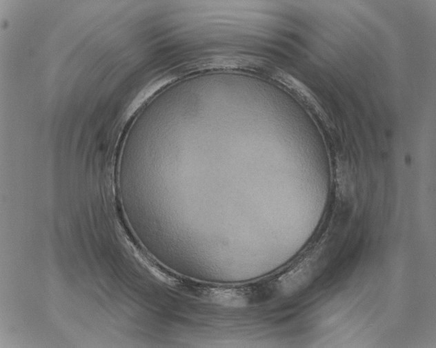 X0000067390794200604131930