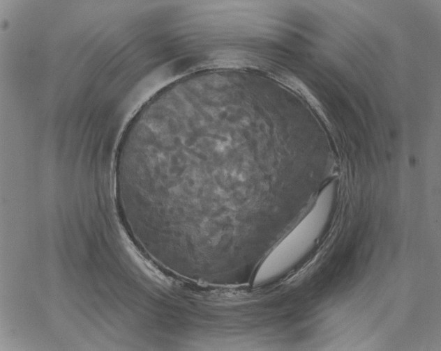 X0000067390795200604131930