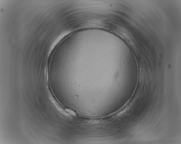 X0000067390796200604131930