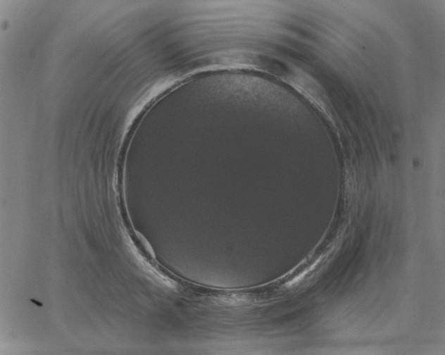 X0000067390797200604131930