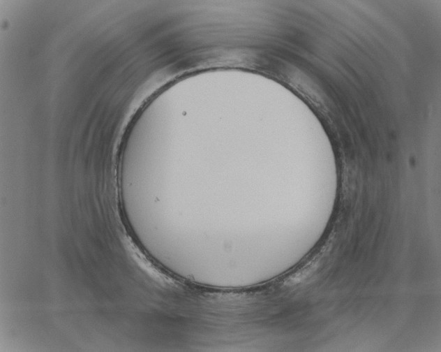 X0000067390800200604131930