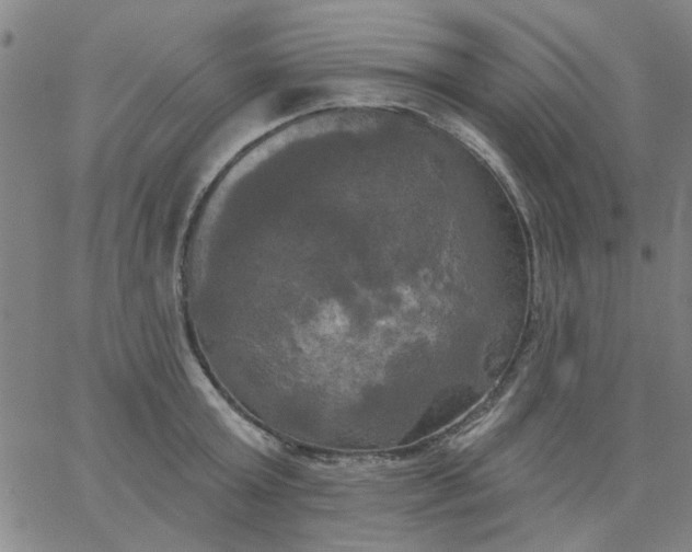 X0000067390803200604131930