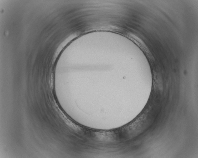 X0000067390804200604131930