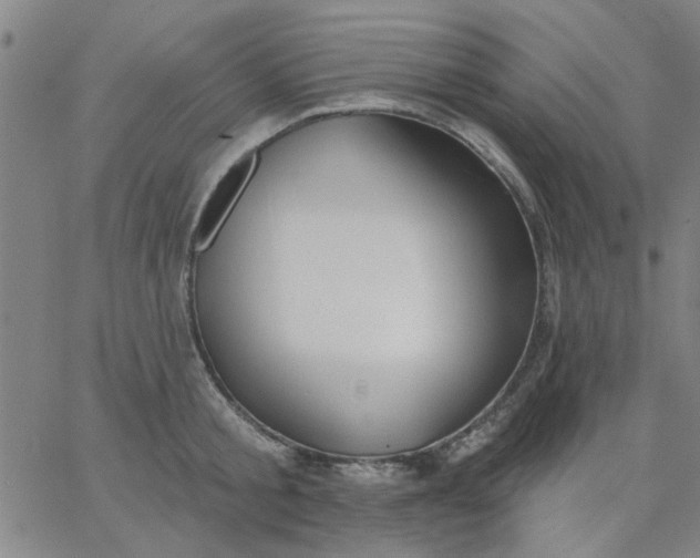 X0000067390805200604131930