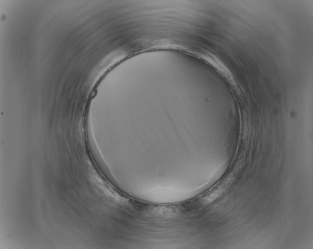 X0000067390806200604131930