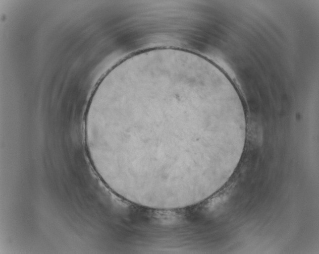 X0000067390807200604131930