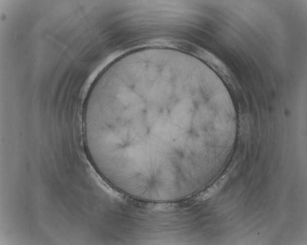 X0000067390808200604131930